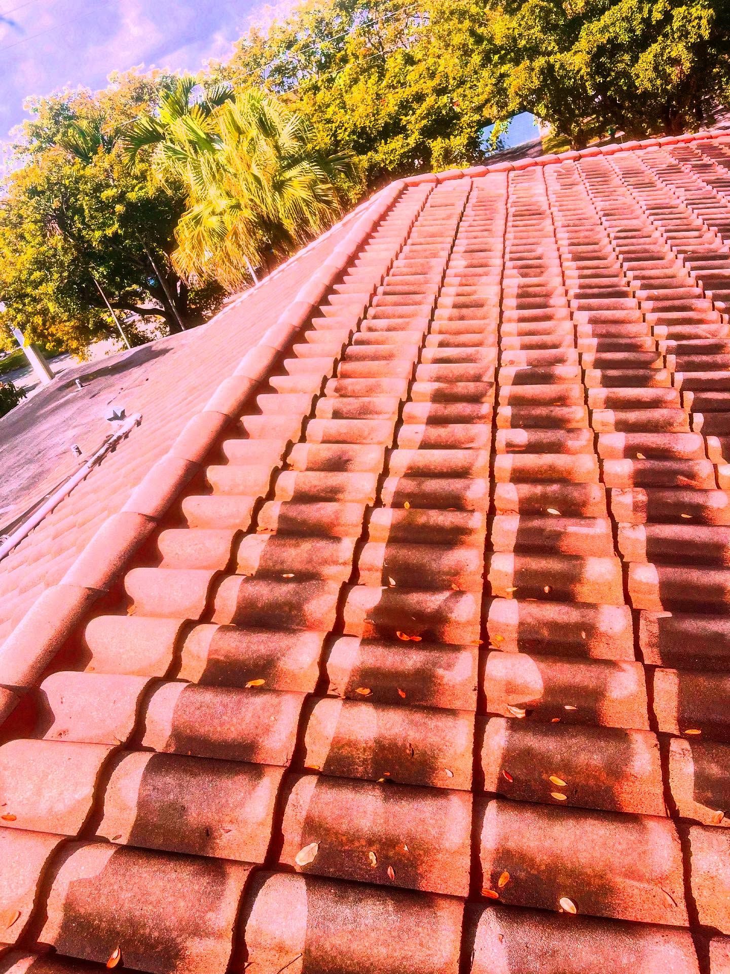 Mowatt’s Services from Instagram