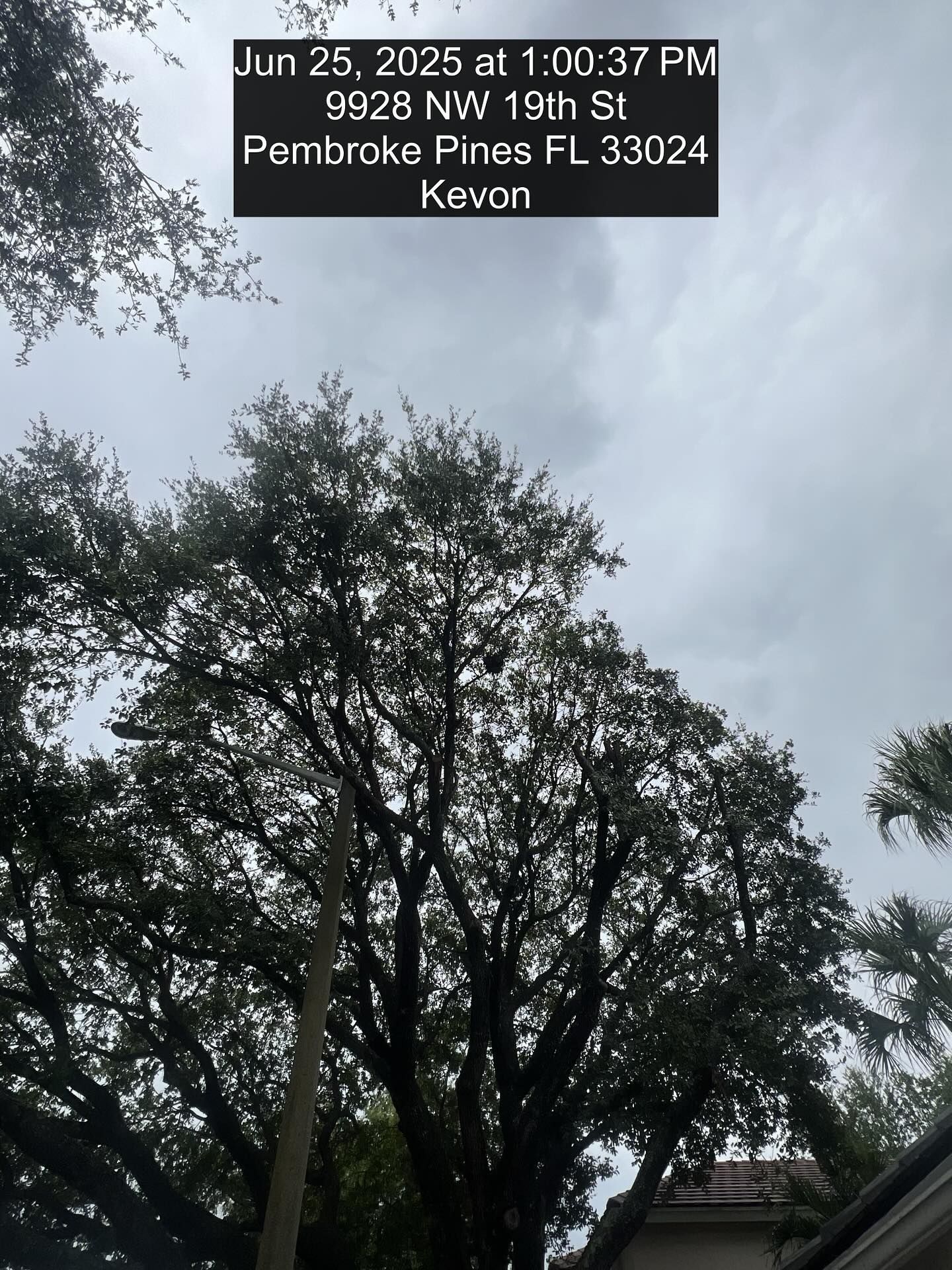 Mowatt’s Services from Instagram